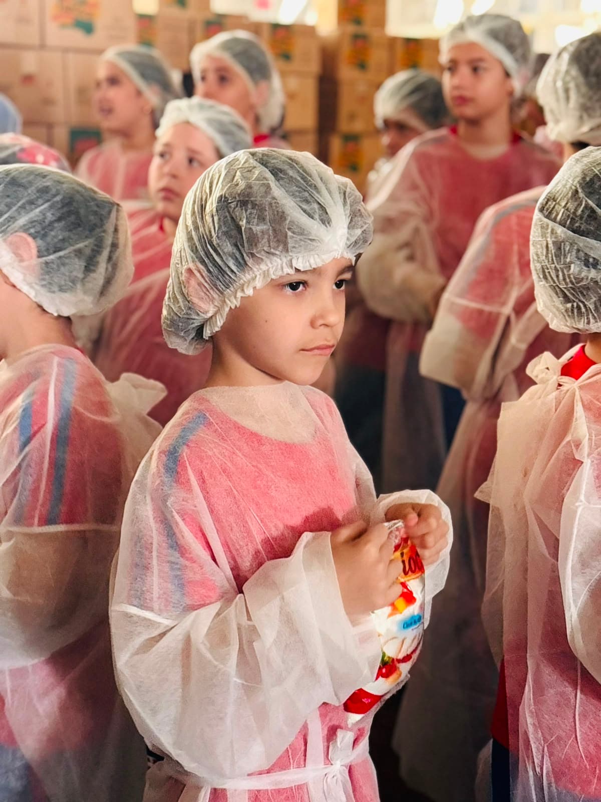 Da Fábrica à Mesa: Como Funcionam as Visitas Técnicas na Alimentos Lopes - imagem 10